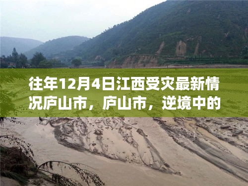 行业新闻 第341页