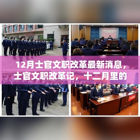 项目介绍 第342页