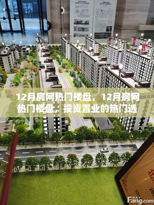 项目介绍 第338页