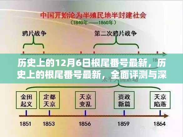 历史上的根尾番号最新揭秘，全面评测与深度解析
