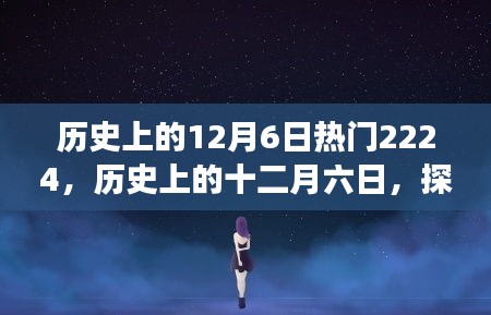 雍容华贵 第3页