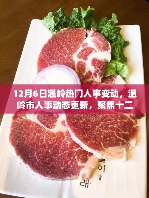 12月6日温岭人事大变动，市人事动态更新聚焦当日关键调整