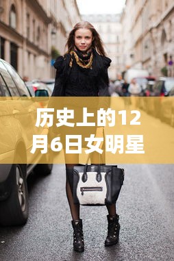 项目介绍 第329页