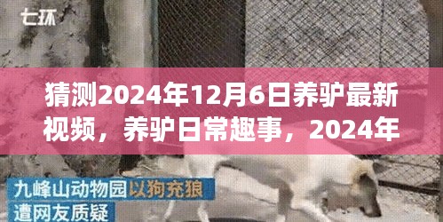 熊经鸟伸 第3页