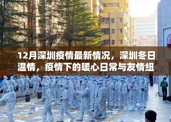 深圳冬季疫情最新动态，温情日常与友情纽带