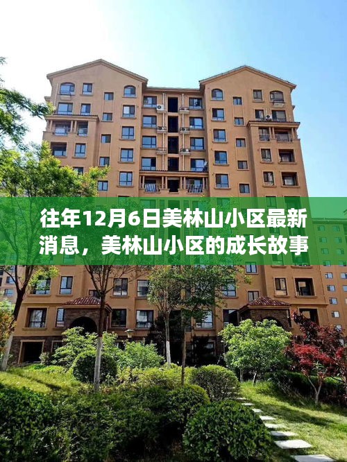 荆钗布裙 第2页