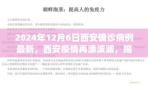 项目介绍 第321页