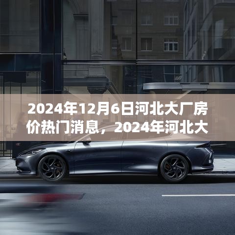 2024年12月6日河北大厂房价热门消息，2024年河北大厂房价走势揭秘，热门消息一网打尽