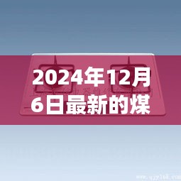 2024年最新煤气炉技术革新及未来趋势展望