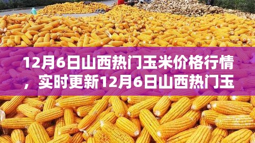 12月6日山西玉米价格行情深度解析及实时更新