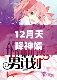 神婿天降，揭秘十二月热门章节背后的情感与观点碰撞