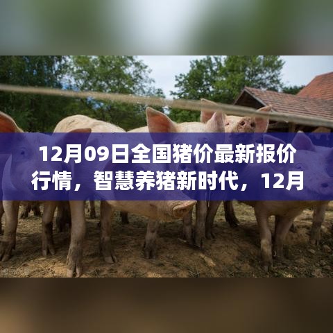 只争朝夕 第3页