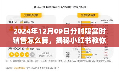掌握2024年12月09日分时段实时销售算法，小红书教你领跑市场的秘诀
