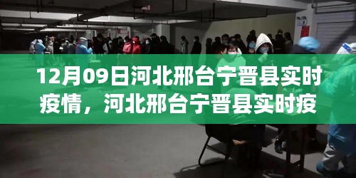 河北邢台宁晋县实时疫情动态深度解析与案例分析（最新更新）