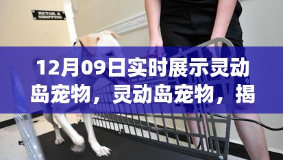 贵在知心 第2页