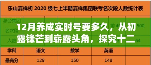 探究十二月养成实时号，从初露锋芒到崭露头角所需时间与影响力
