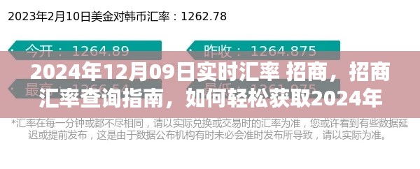 2024年12月09日实时汇率解析，招商汇率查询指南与轻松获取汇率信息