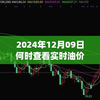 实时油价监测，预见未来，学习成就自信与成就感的旅程