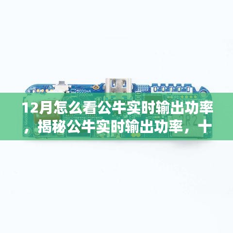 揭秘公牛实时输出功率，十二月观察指南助你洞悉公牛实时表现