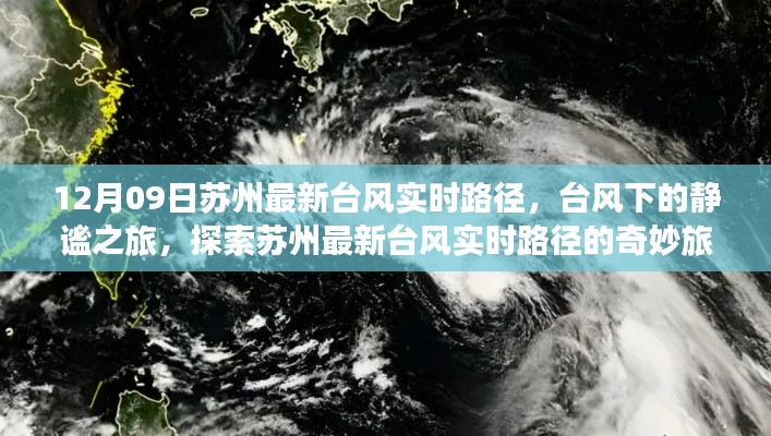 苏州台风实时路径探索，台风下的静谧之旅