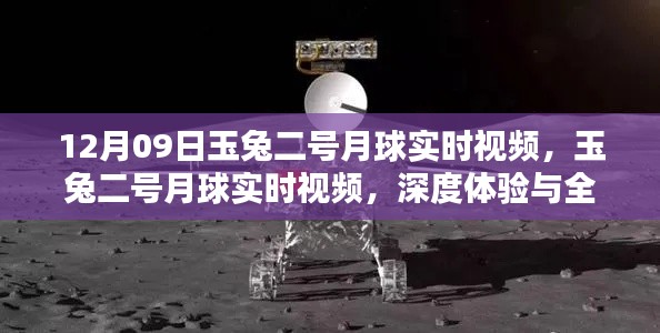 张张屈屈 第4页