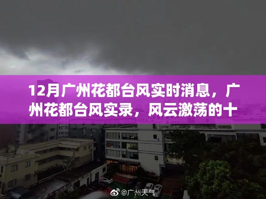 橘虞初梦 第3页