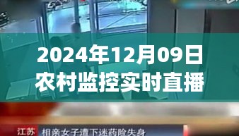 一飞冲天 第2页