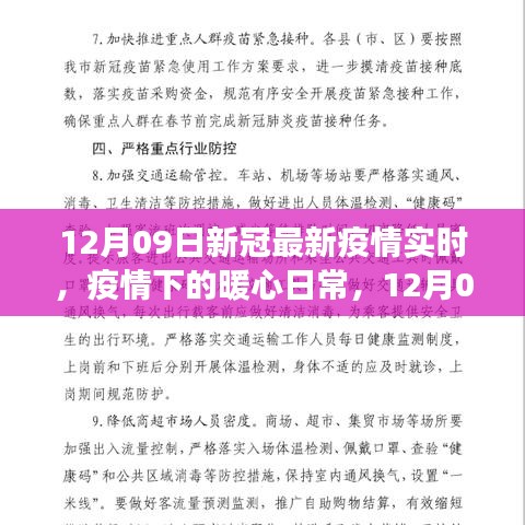 12月09日新冠最新疫情实时，阳光下的希望之旅与暖心日常