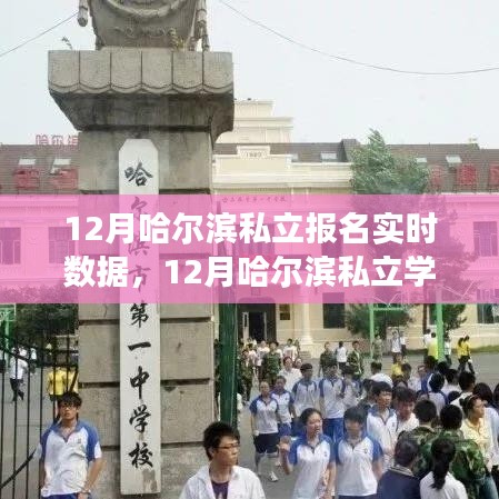 哈尔滨私立学校报名实时数据观察与深度思考