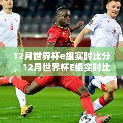 世界杯E组实时比分产品评测与介绍，洞悉比赛动态