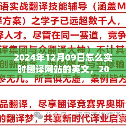 实时翻译网站操作指南，如何将日期翻译为英文（适用于2024年）