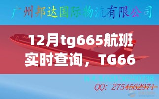 TG665航班12月实时查询，飞行轨迹与时代印记的交织