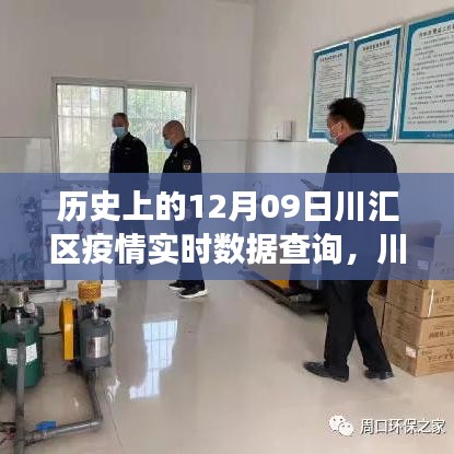 川汇区疫情下的静谧时光与实时数据追踪，自然探索之旅