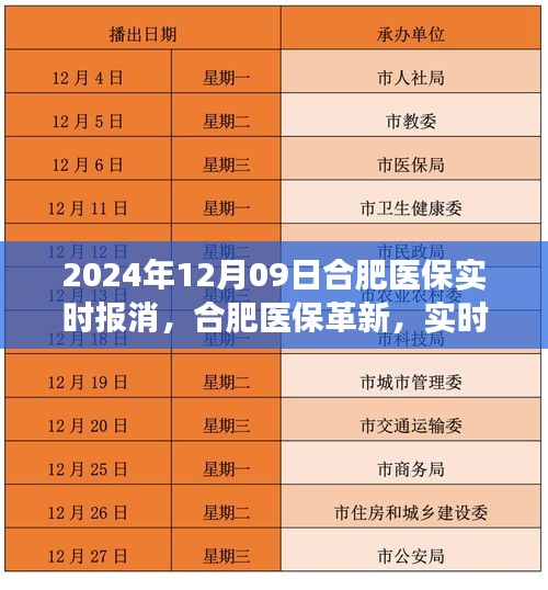 合肥医保革新里程碑，实时报销时代的来临，2024年12月09日的深刻变革