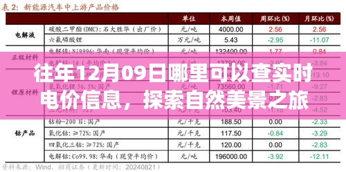 实时电价查询与探索自然美景之旅，寻找内心的宁静与平和