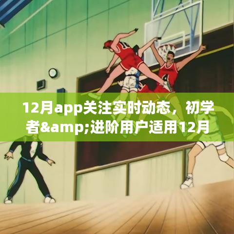 12月APP动态关注指南，适合初学者与进阶用户的实时动态追踪，希望符合您的要求，您也可酌情调整。