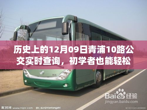 历史上的12月09日青浦10路公交实时查询指南，初学者操作详解及步骤概览