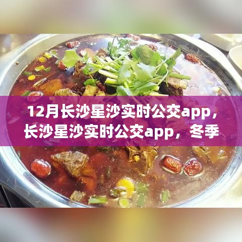 冬季长沙星沙出行必备，实时公交app助你轻松掌握公交动态