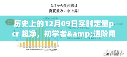 百鸟归巢 第3页