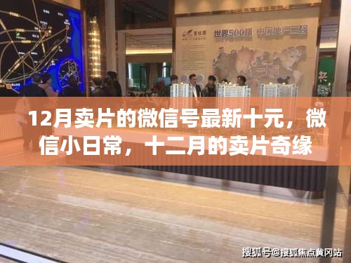 微信小日常，十二月的卖片奇缘与友情的温暖时刻