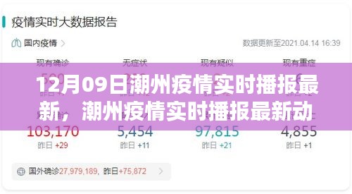 潮州疫情最新实时播报，深度分析与用户指南（12月09日更新）