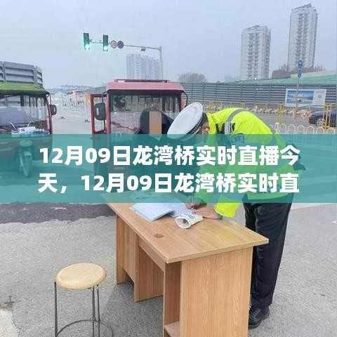 12月09日龙湾桥建设奇迹实时直播展现眼前