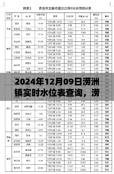 涝洲镇实时水位表查询背后的争议与重要性，深度解读