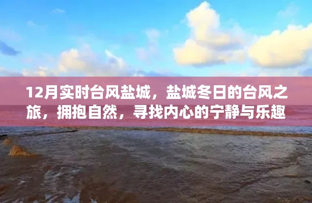 盐城冬台风之旅，拥抱自然，探寻内心宁静与乐趣的台风之旅