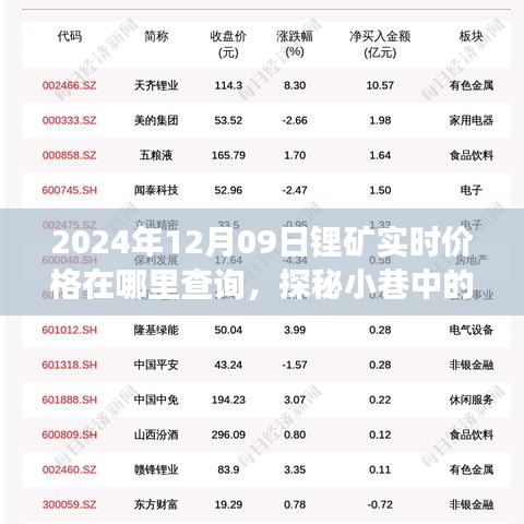 探秘小巷宝藏，锂矿实时价格查询之旅（2024年12月09日）