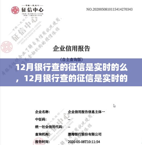 揭秘十二月银行征信查询实时性，流程、注意事项全解析