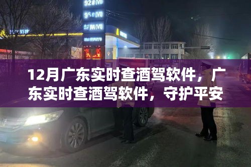 广东实时查酒驾软件，数字哨兵守护平安出行