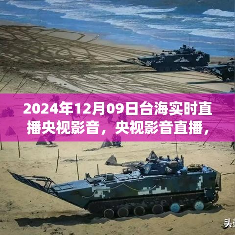 揭秘台海风云，央视影音直播聚焦台海局势深度影响，实时直播实录（时间，2024年12月9日）