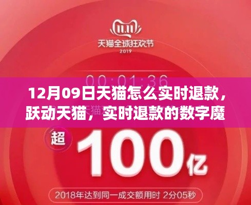 跃动天猫，实时退款的数字魔法——掌握变化，体验自信与成就感的源泉之道（12月09日教程分享）
