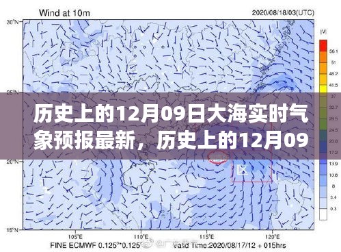 环肥燕瘦 第3页